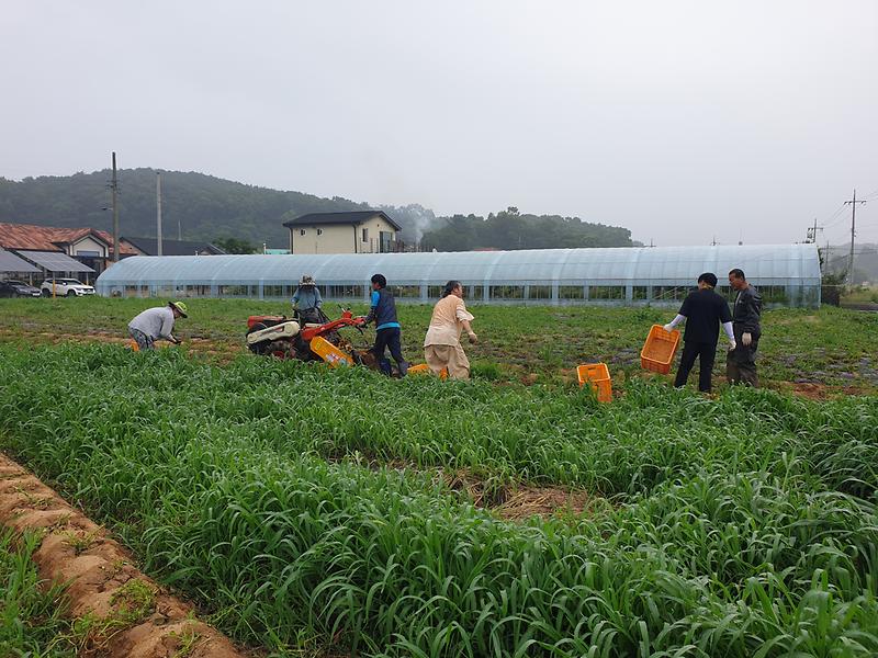 관련사진(주민자치위원회_2)