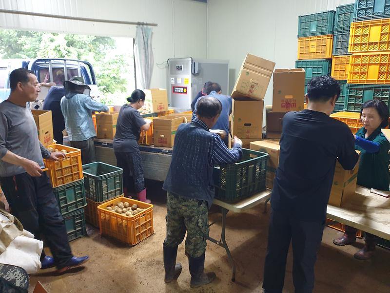 관련사진(주민자치위원회_4)