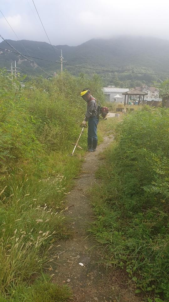 나들길_환경정비(9