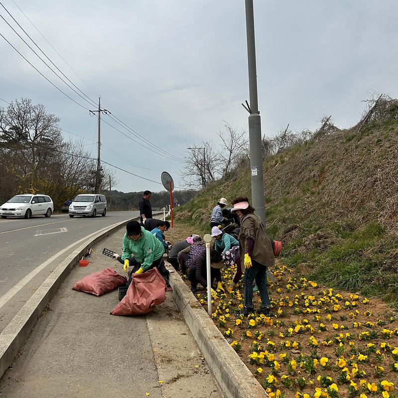 사회보장협의체