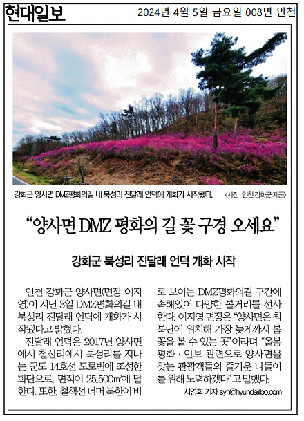 20240405_북성리_진달래개화