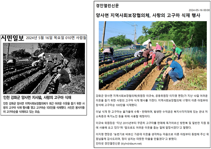 20240516_지역사회보장협의체_고구마