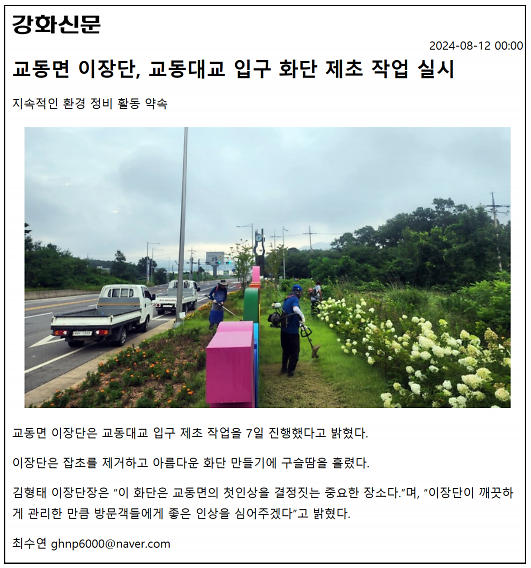20240812_교동면_이장단,_교동대교_입구_화단_제초_작업_실시