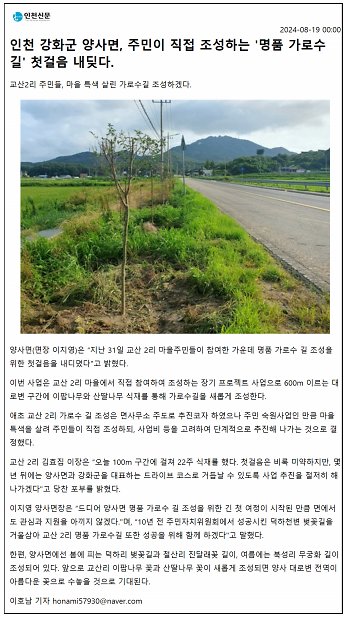 20240819_교산2리가로수길