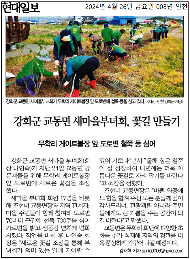 강화군_교동면_새마을부녀회,_꽃길_만들기