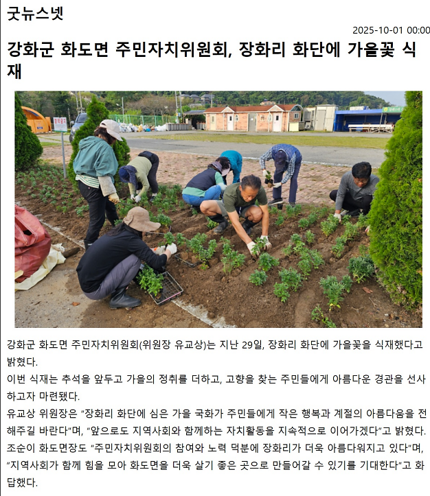 화도면_주민자치위원회,_장화리_화단에_가을꽃_식재