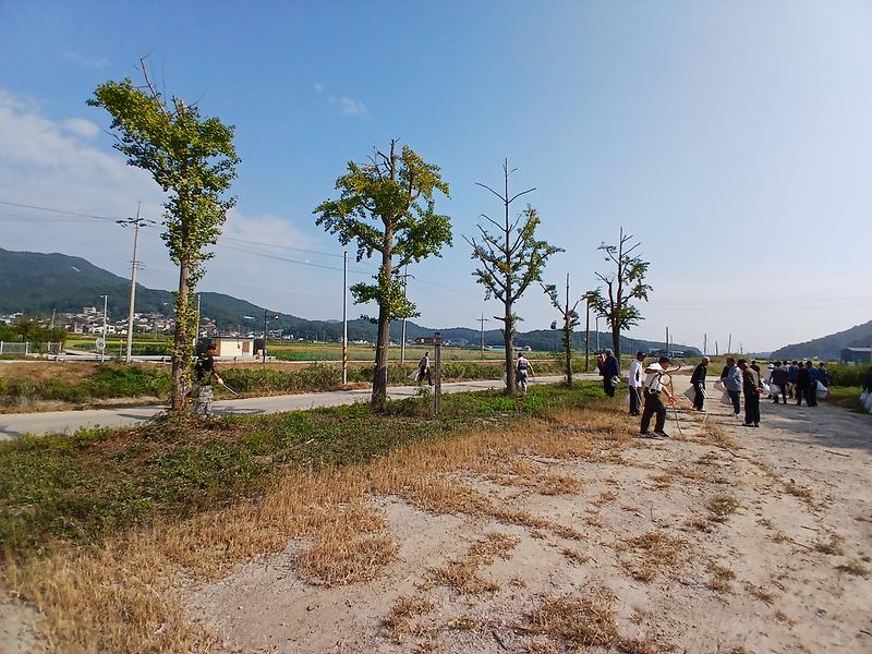 하점면 노인회, 목숙천 환경정화 활동 펼쳐 사진