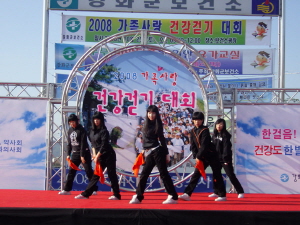 2008 가족사랑 건강걷기 대회 사진