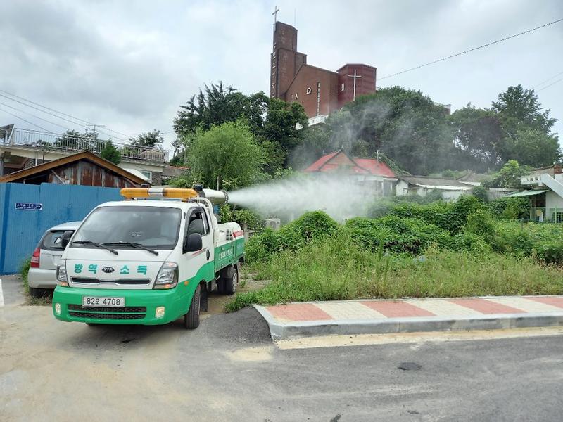 1597303208813.jpg 이미지