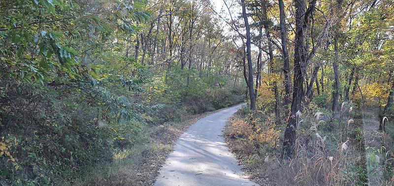 20201029_144337.jpg 이미지