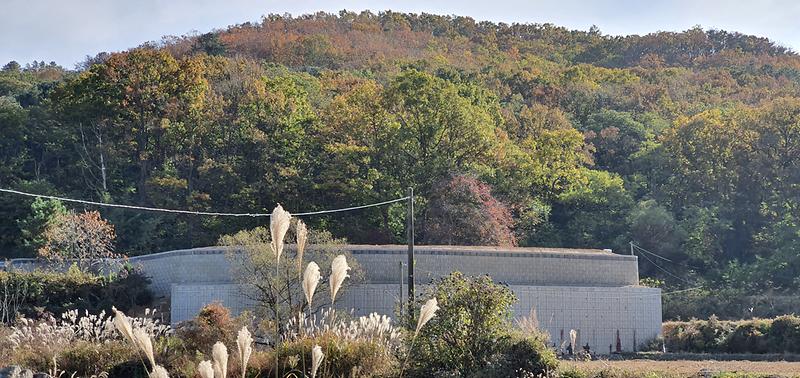 20201029_144959.jpg 이미지