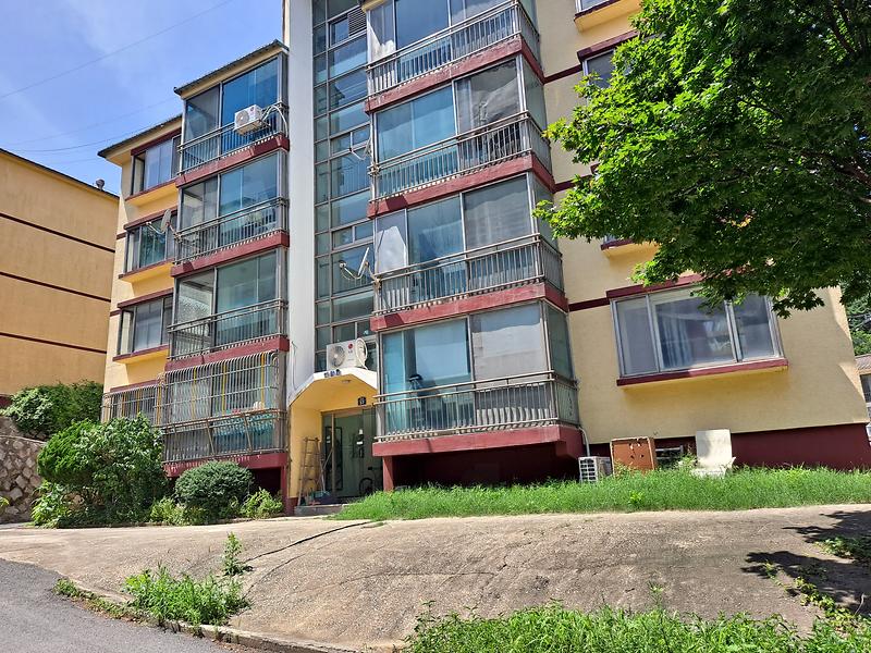 20230727_134256.jpg 이미지