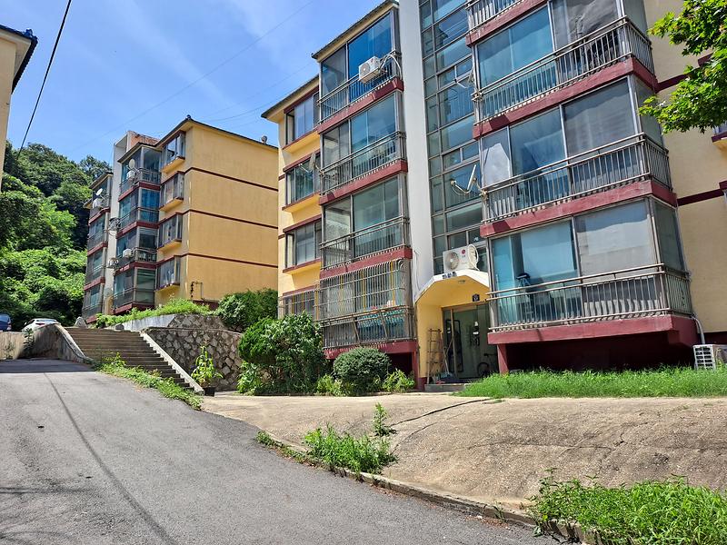 20230727_134259.jpg 이미지