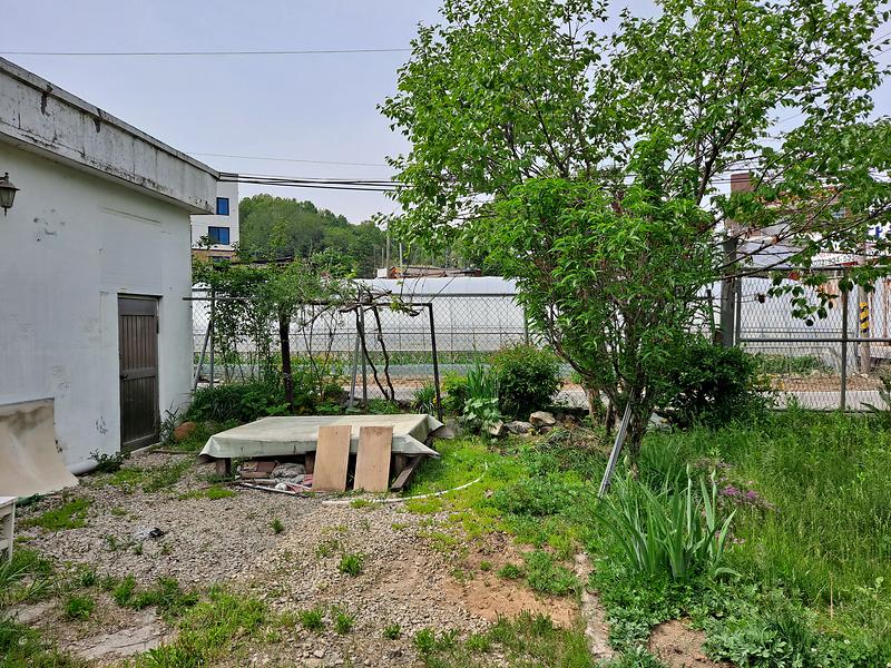 20250514_144411.jpg 이미지