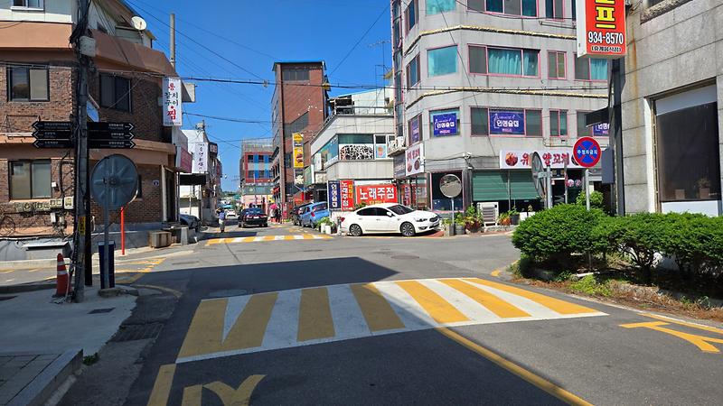 20250609_150922.jpg 이미지