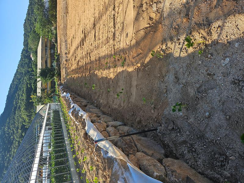 20250711_173236.jpg 이미지