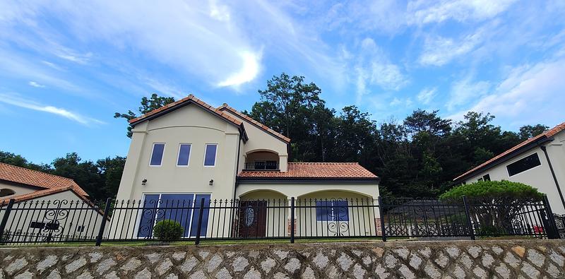 20250715_190534.jpg 이미지