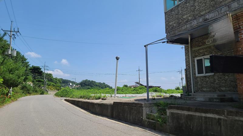 20250729_115140.jpg 이미지