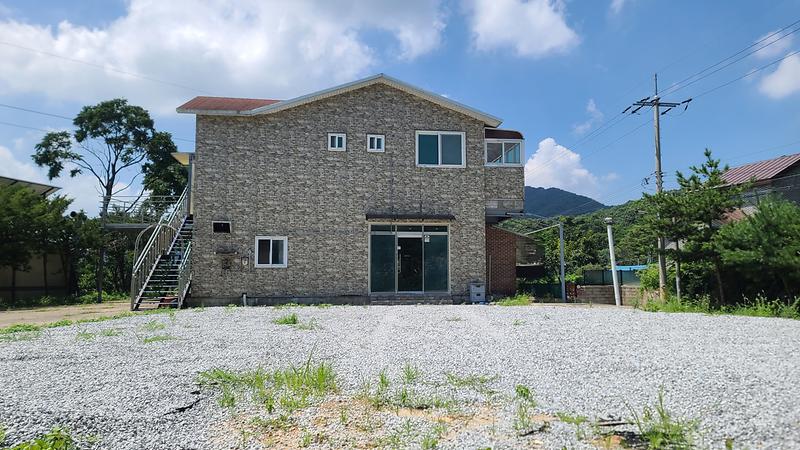 20250729_115238.jpg 이미지