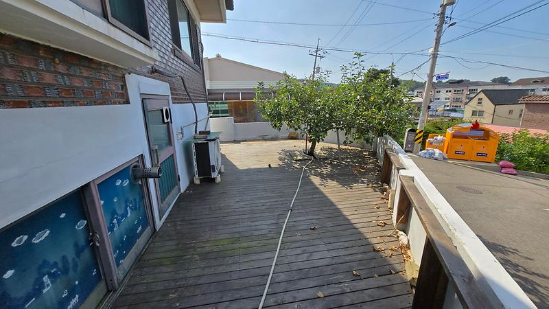 20250812_152451.jpg 이미지