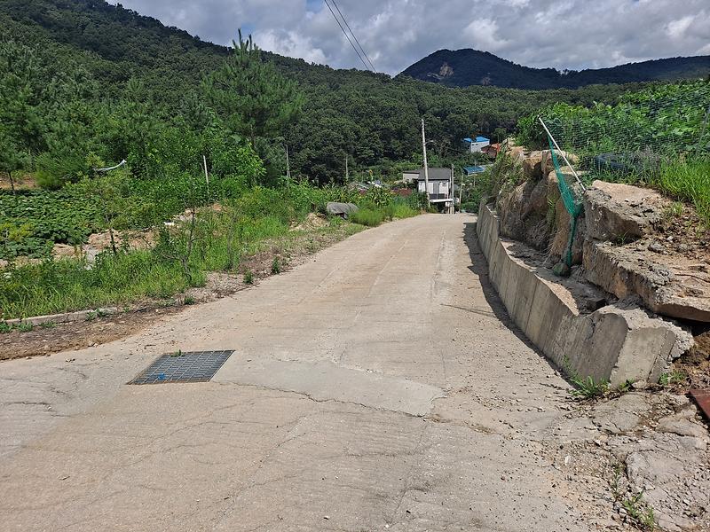 20250816_111126.jpg 이미지