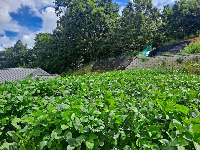 20250816_111201.jpg 이미지