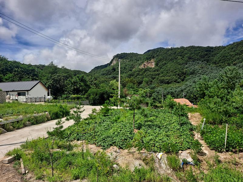 20250816_111221.jpg 이미지