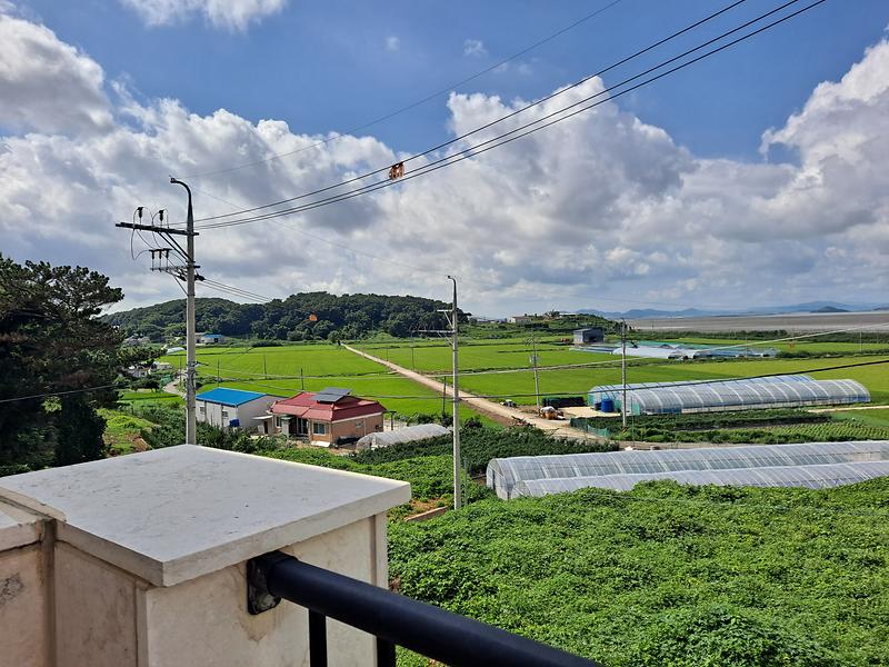 20250826_144125.jpg 이미지