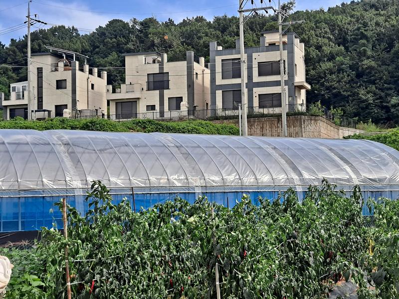 20250826_145736.jpg 이미지