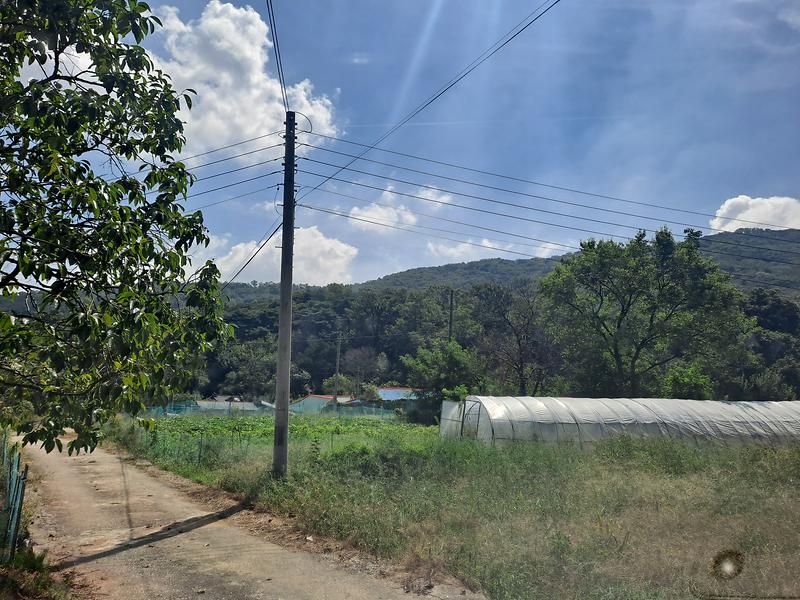 20250903_110909.jpg 이미지