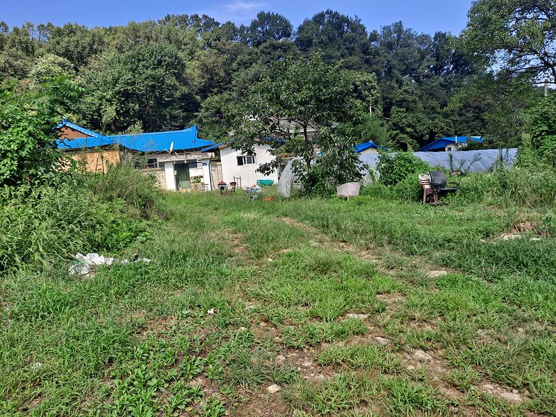 20250903_111215.jpg 이미지