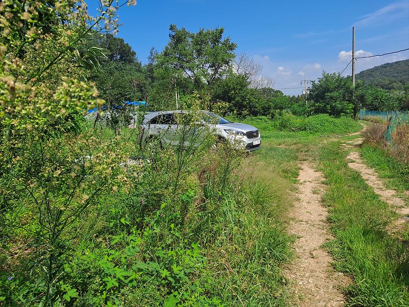 20250903_111510.jpg 이미지