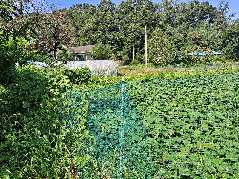 20250903_114523.jpg 이미지