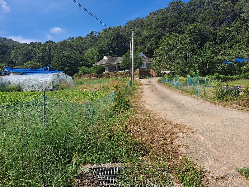 20250903_114553.jpg 이미지