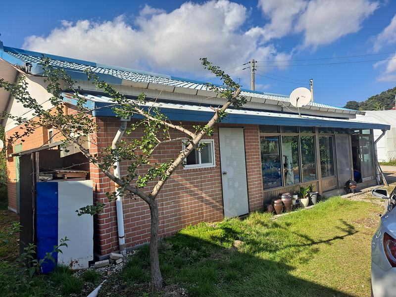 20250925_152635.jpg 이미지