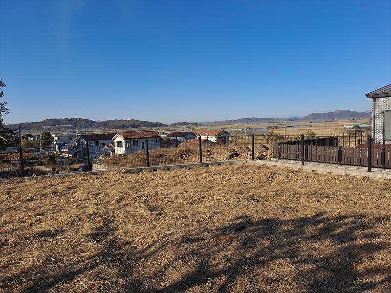 20251110_153221.jpg 이미지