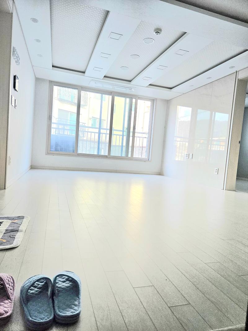 20251219_145453.jpg 이미지