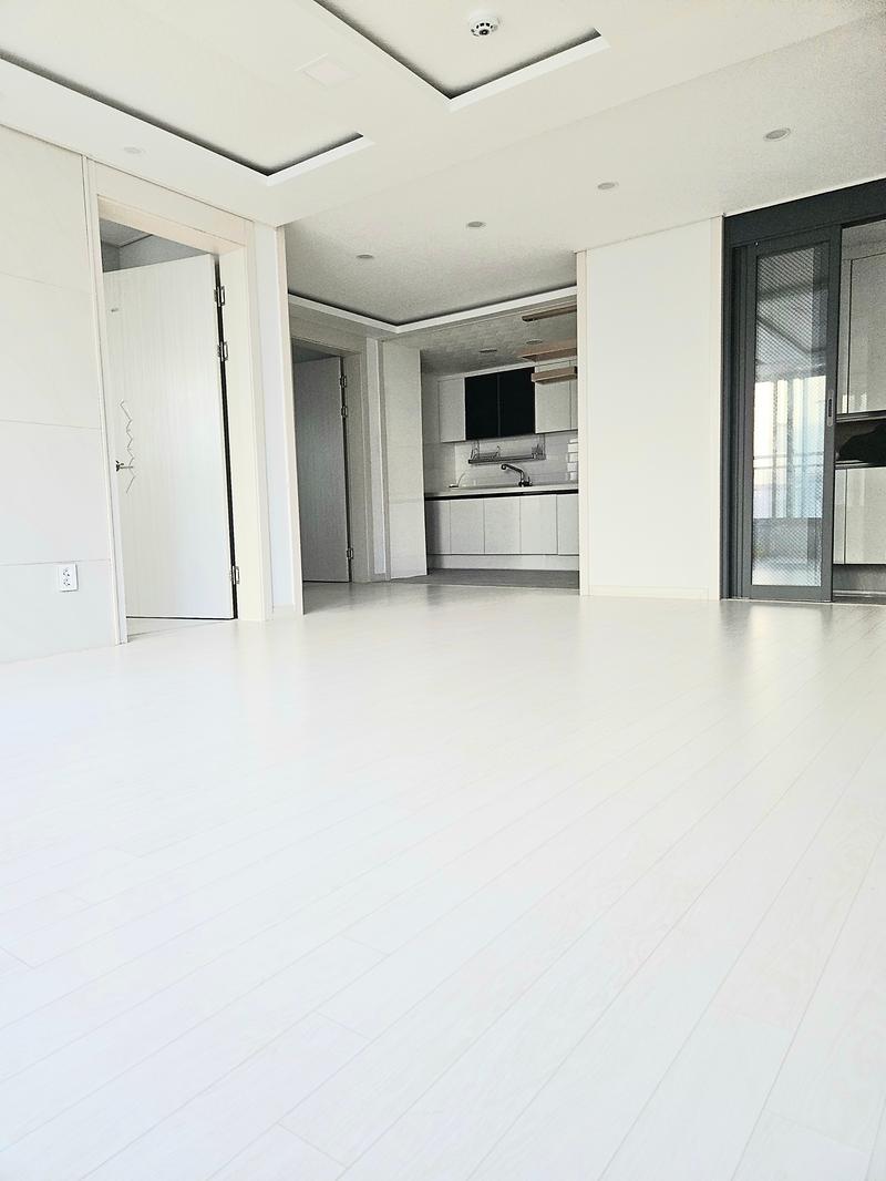 20251219_145516.jpg 이미지