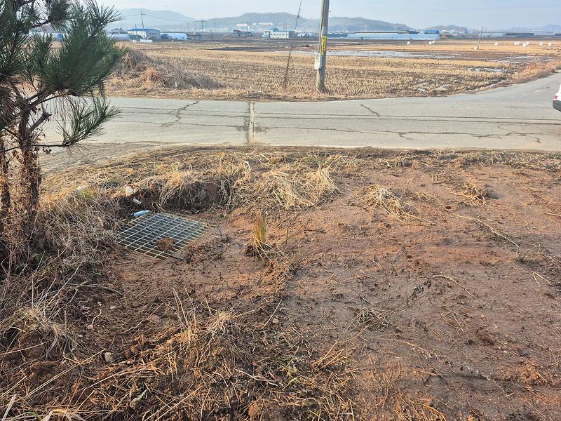 20251219_153650.jpg 이미지