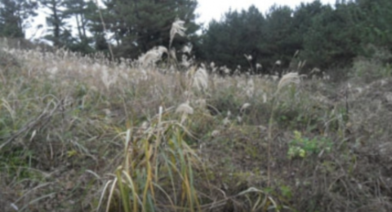 26f56c5181aba7f0ecd50c1e305af4004a3bc568.png 이미지