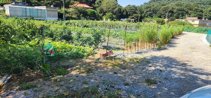 _KakaoTalk_20250905_132535627.jpg 이미지