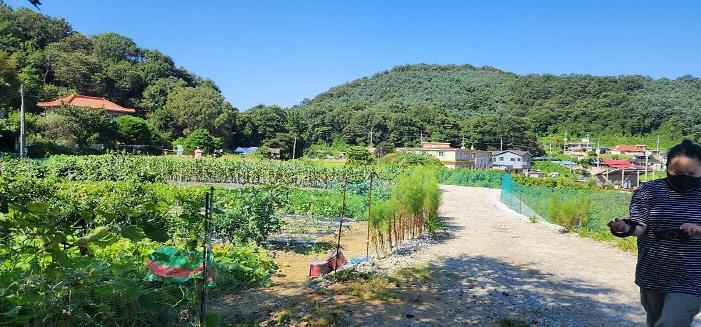 __KakaoTalk_20250905_132535627_03.jpg 이미지