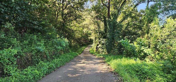 _KakaoTalk_20250905_132535627_17.jpg 이미지