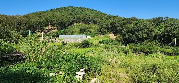 _KakaoTalk_20250905_132535627_21.jpg 이미지