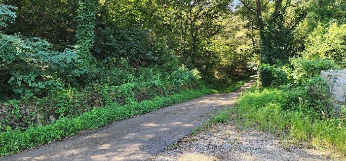 _KakaoTalk_20250905_132535627_25.jpg 이미지