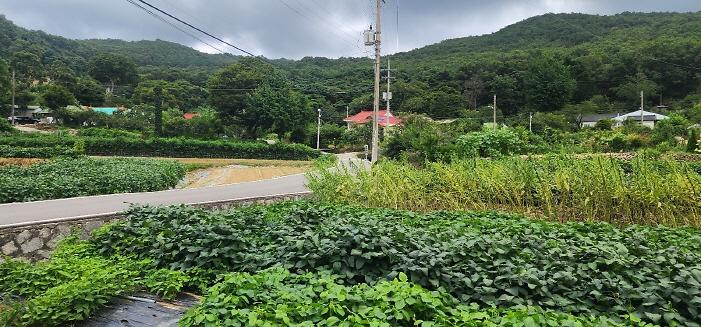 _KakaoTalk_20250914_164347520_06.jpg 이미지