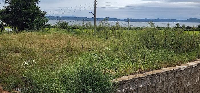 _KakaoTalk_20250917_160816329_01.jpg 이미지