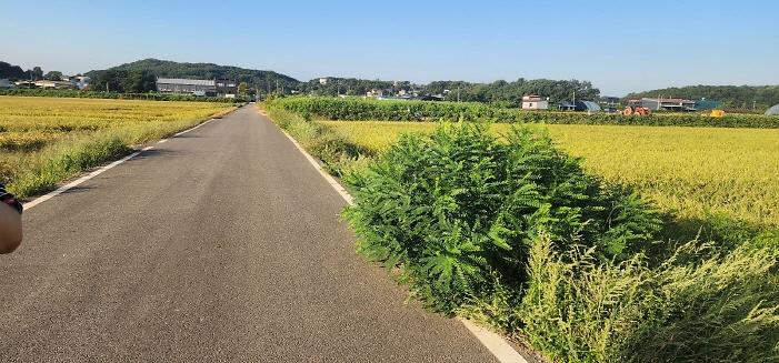 _KakaoTalk_20250926_122709930.jpg 이미지