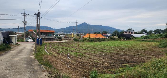 _KakaoTalk_20251007_110044581_05.jpg 이미지