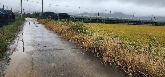 _KakaoTalk_20251010_173329906_01.jpg 이미지